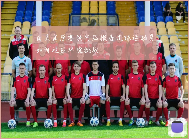 南美高原赛场气压报告足球运动员如何适应环境挑战