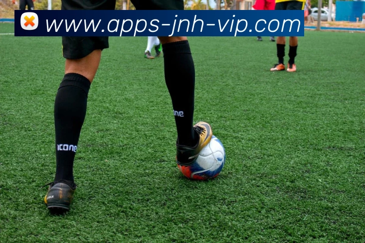 金年会发展历程